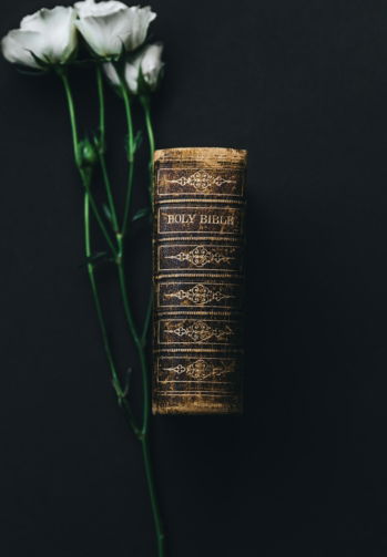 Holy Bible beside white rose